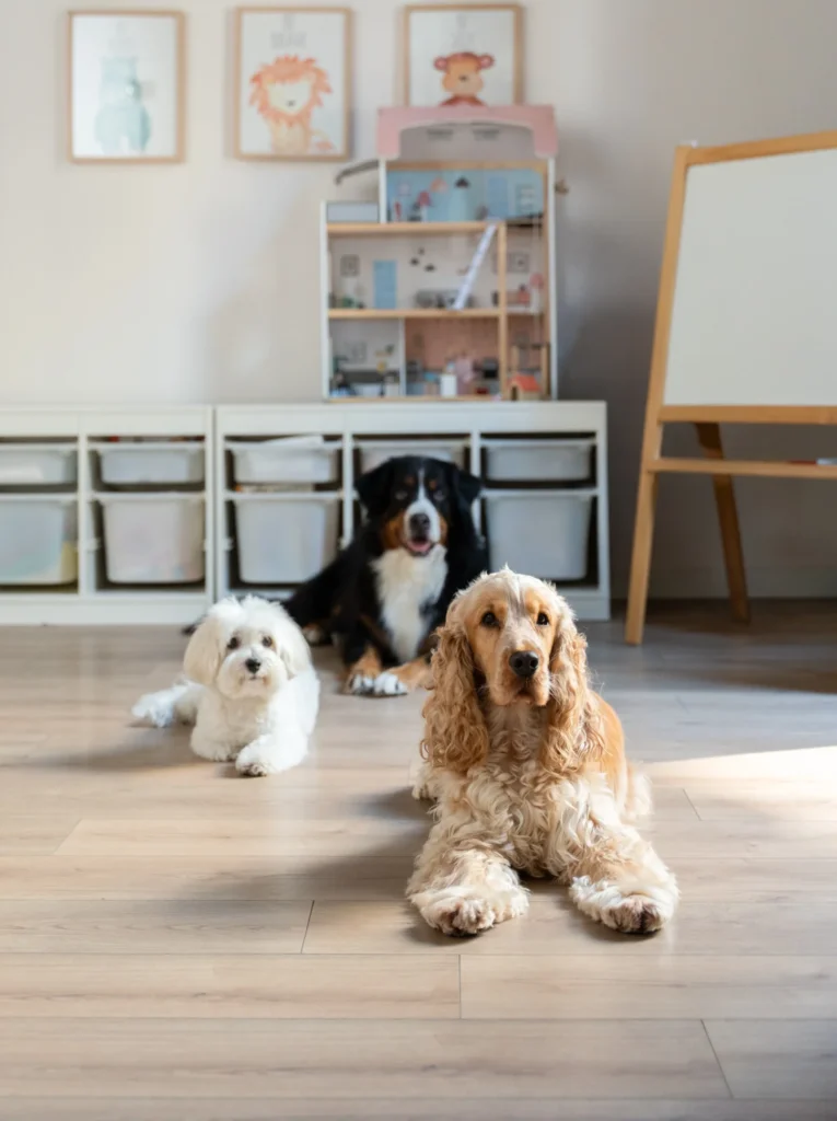 Fotografias Entrelazadogs 031 scaled e1764282860973
